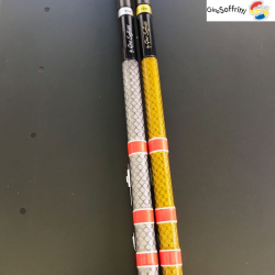 Parabolic TRG Gold/Silver